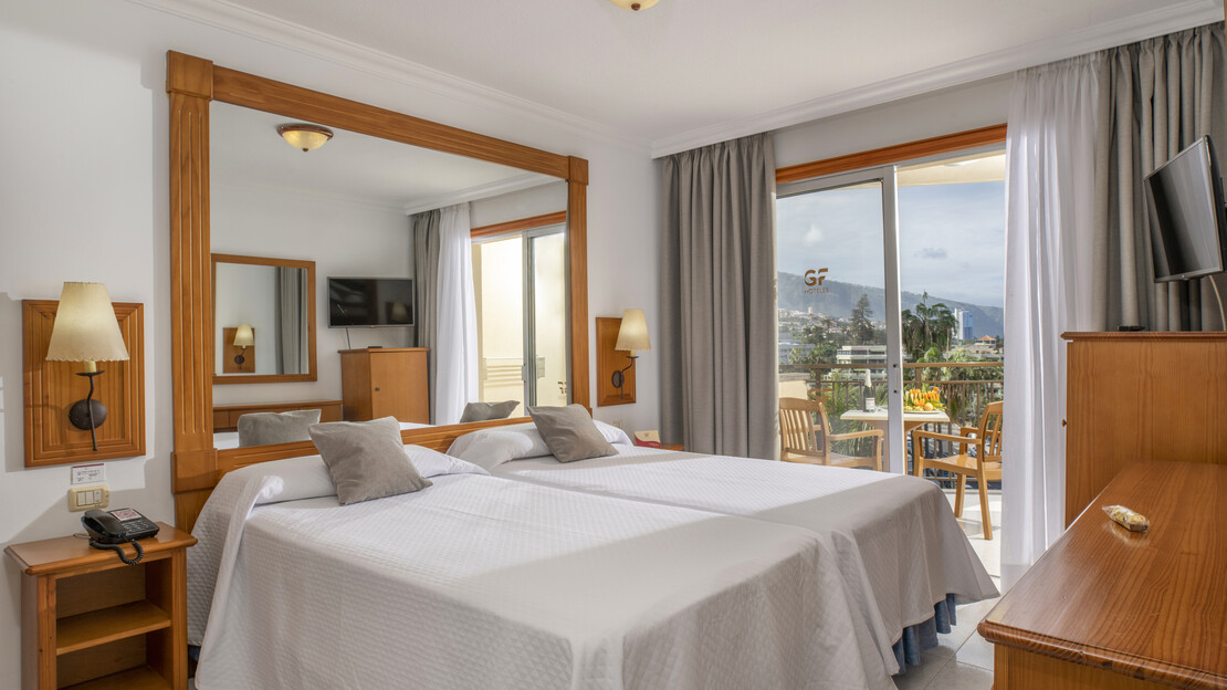 Studio with Kitchen and Balcony 